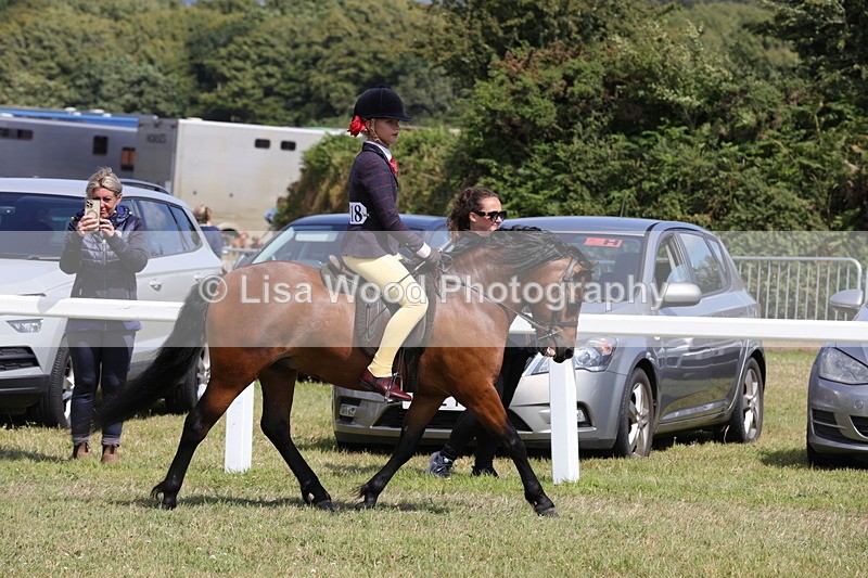 1X9A5337 - Class 37: NPS M&M First Ridden