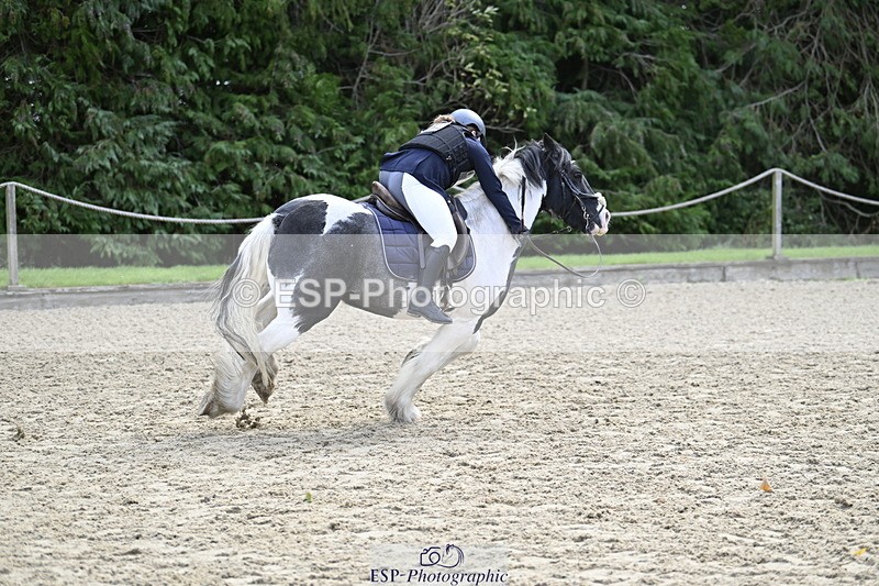 251005A-121451-03678 - Cls 08 Mini 70-75cm