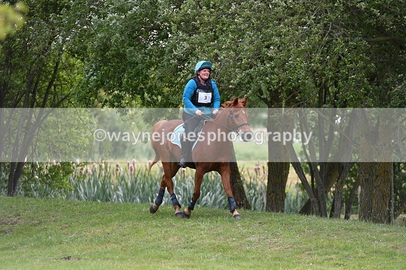 WJ5_2292 - Class 2 40cm