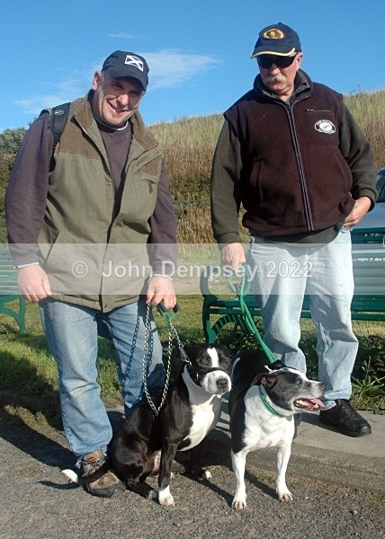 Two Kiwis_Two Dogs - Walking the Dog