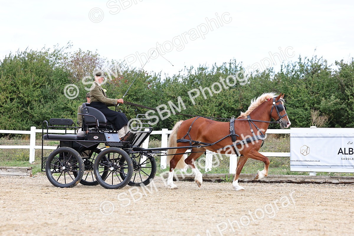 SBM_000747 - Class 6 - Exercise Vehicle 13.2 and over