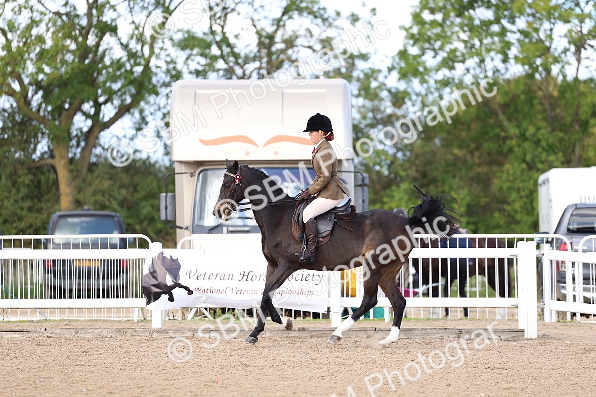 SBM_11212 - Class 306 - Ridden Foreign Breeds - Part Bred
