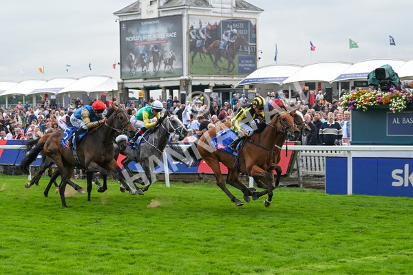 220825-Race 1-Asgards Captain-6637 - Race 1 1.50pm Sky Bet Handicap