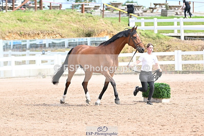 240717A-162309-03429 - Trot Up 4pm to 5pm