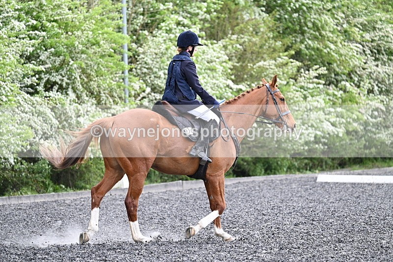 WJ7_0742 - Time 14:01 to 14:12