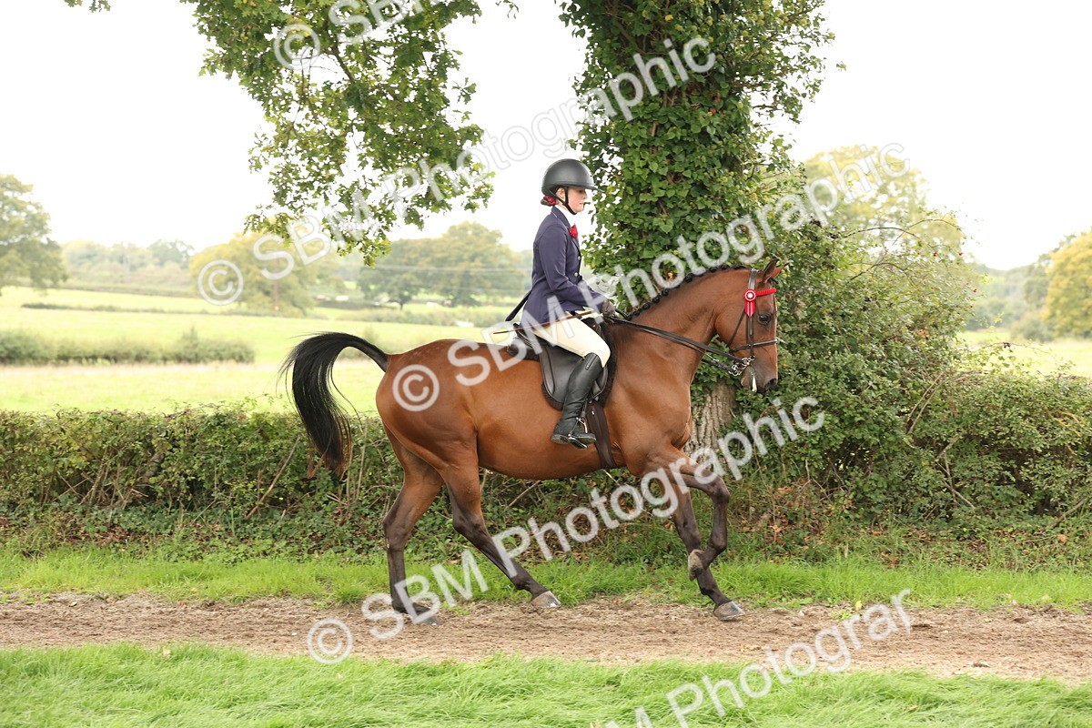 SBM_64212 - S65 - Riding Horse & Hack & Thoroughbred Ridden