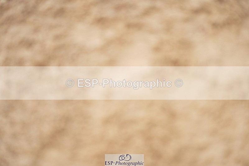 240317A-102924-04799 - Cls 25 Snr 1.20m Open