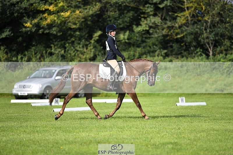 230826-094327-15208 - Sections C & D 9 to 10am