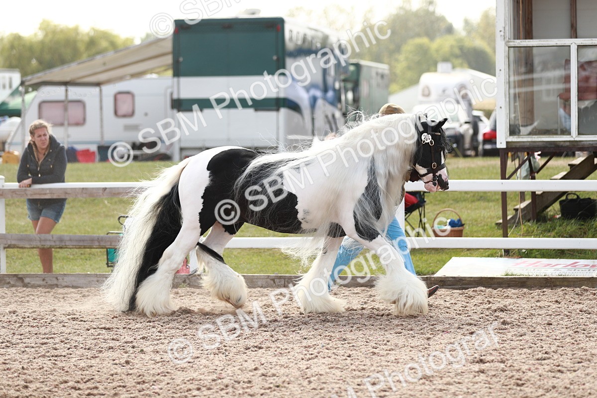 SBM_13883 - Class 209 IH Veteran Pony