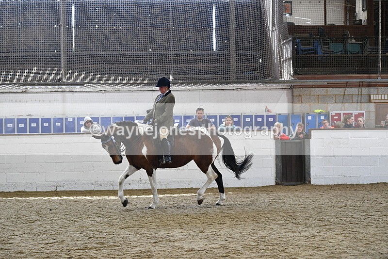 WJ5_6066 - Class 9 Ridden Veteran