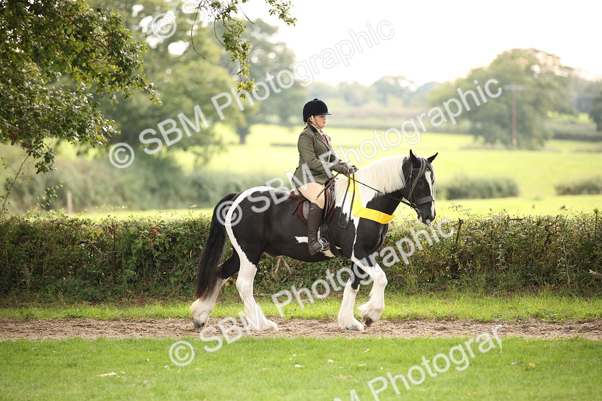 SBM_73613 - Ridden Horse Supreme Championship