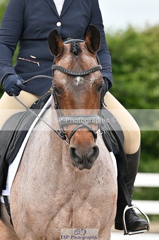 240623A-100458-15923 - Cls 44 BD Prelim 15