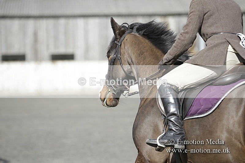BVRC 050320 0493 - Bourne Valley riding Club Show Jumping Tidworth 08/03/20