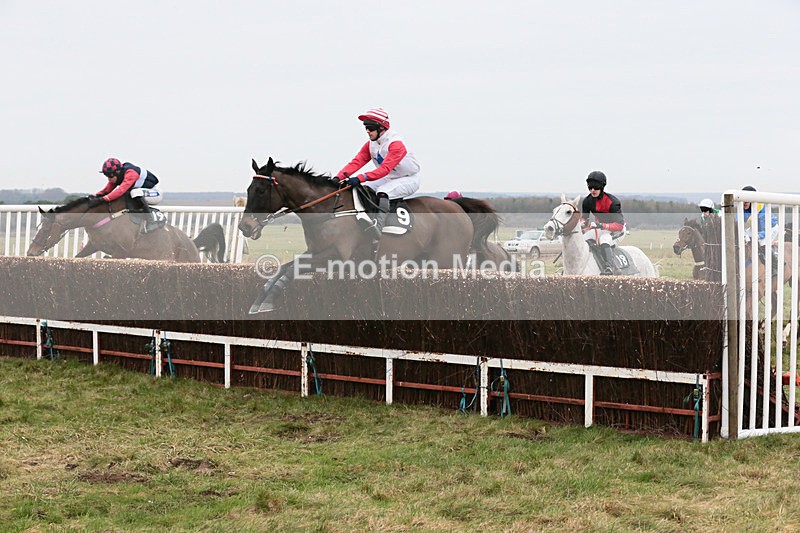 PtP 060119 33 - Larkhill Racing Club - Point-to-Point- 06/01/2019