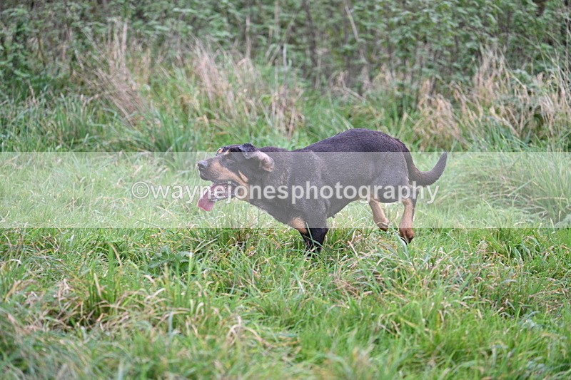 WJ7_8958 - Camera 1 only on this line