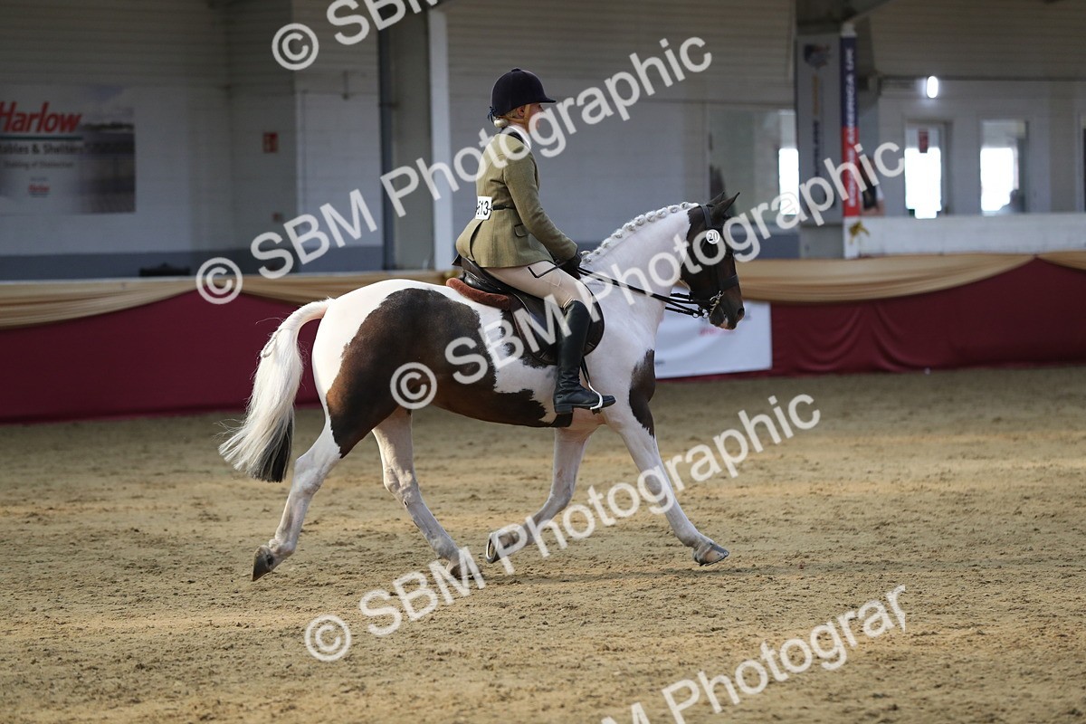 SBM_08424 - Class 11R Regional Ridden Veteran