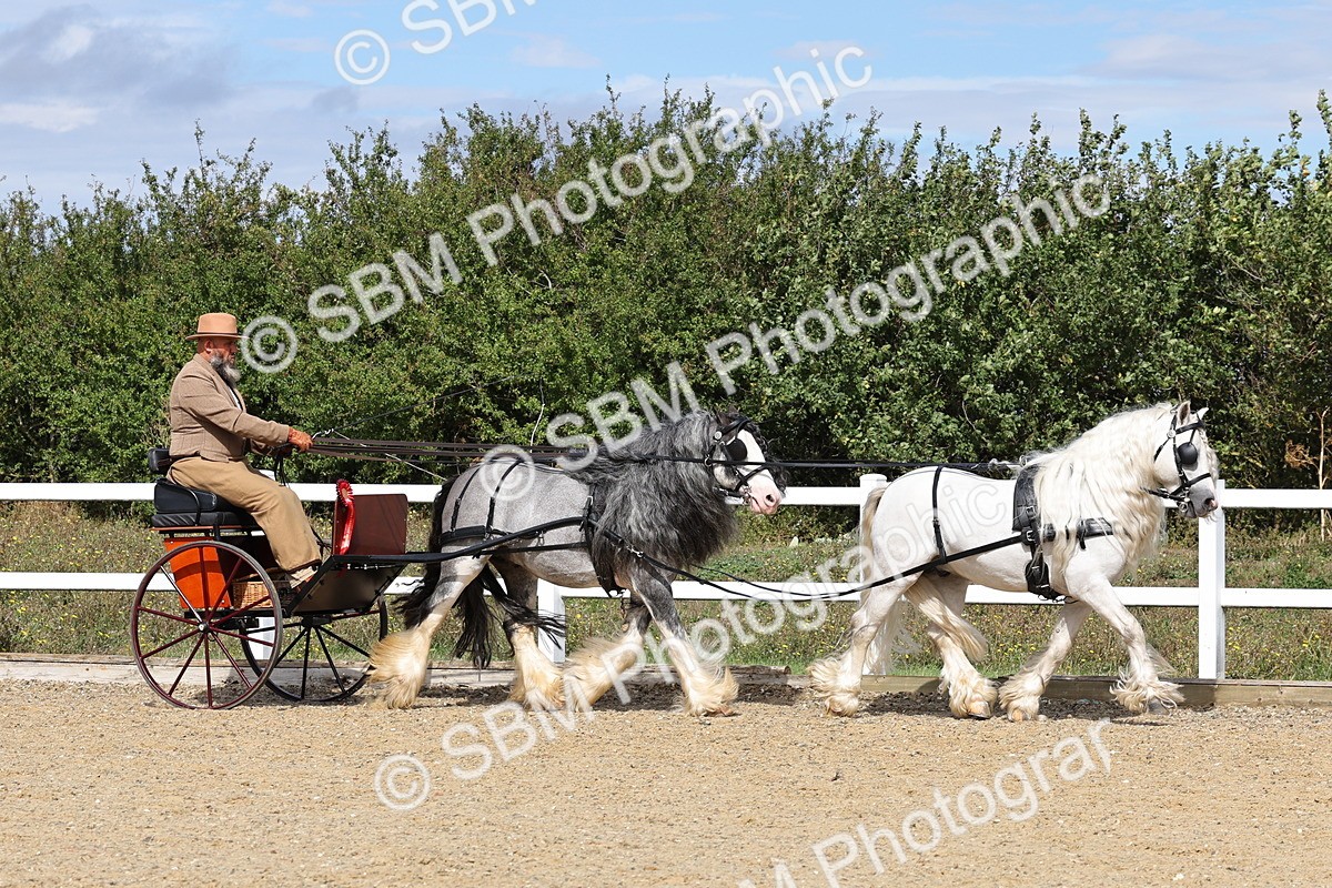 SBM_001268 - Class 16 - Pairs ,Multiples and Tandems