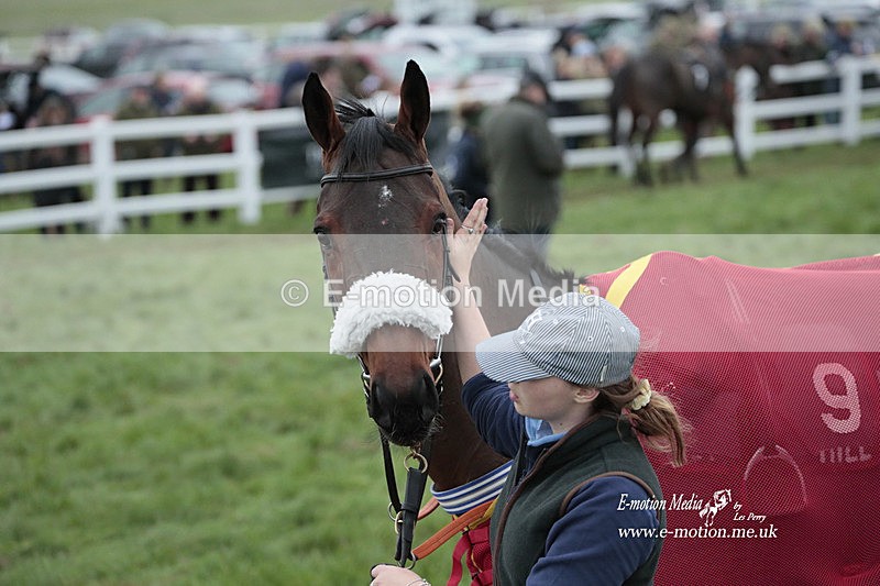 PtP 271122 726 - Hursley Hambledon Hunt Point-to-Point - Larkhill - 27/11/22