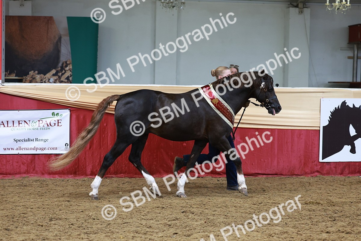 SBM_17617 - Class 951 - M&M IH Supreme Final