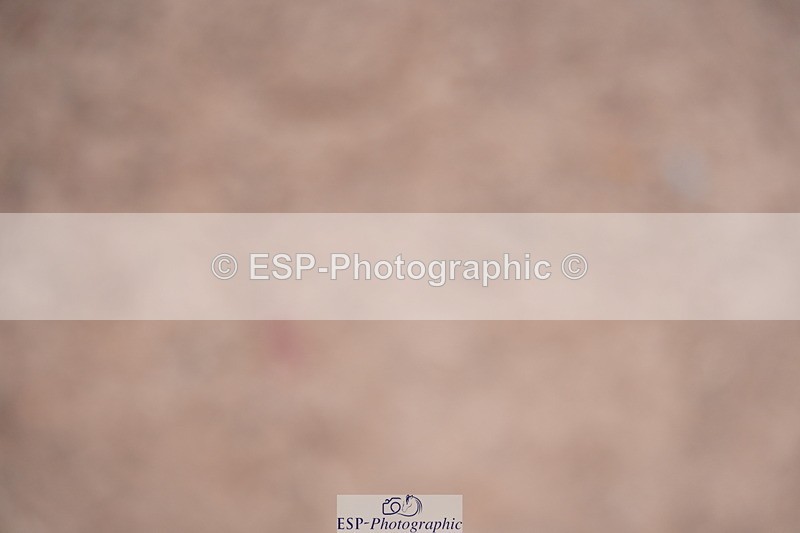 240802A-125632-04501 - Cls 17 Grade C Champs