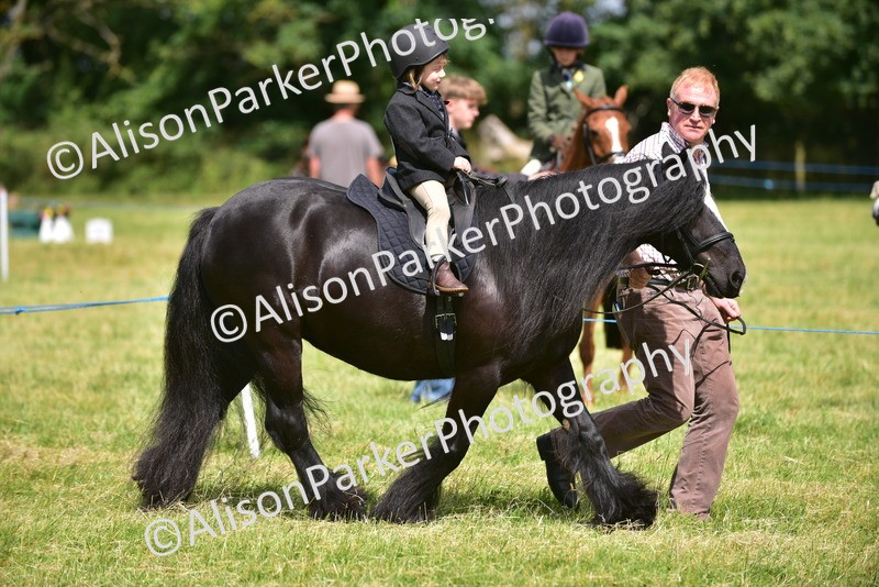 20260614-1193 - Class 11a - Lead Rein Pony (Unplaited)