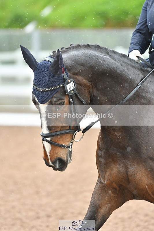 230511A-135258-00866 - BD Cls 13 Adv Medium 91