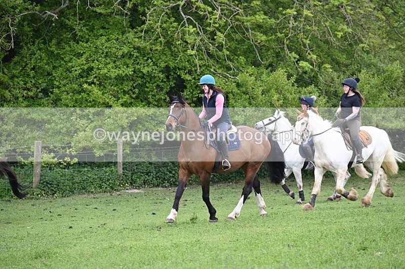 WJ6_3095 - A camera