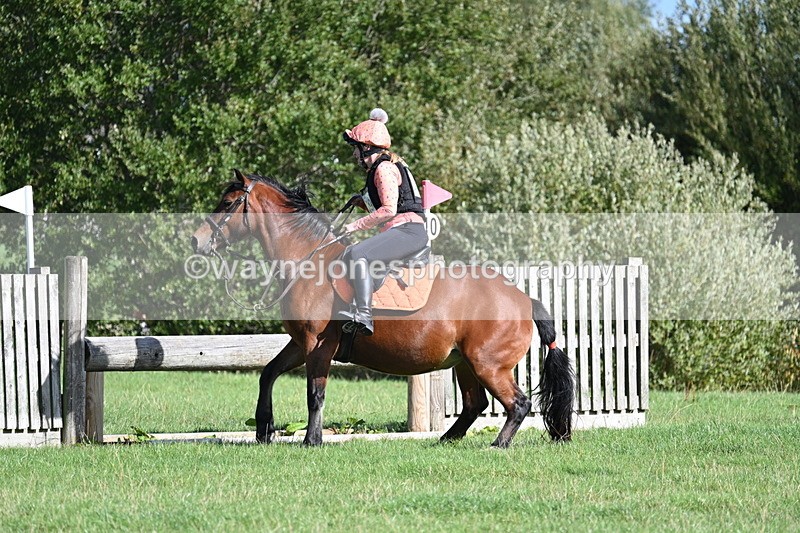 WJ7_1318 - Time 13:56 to 14:24