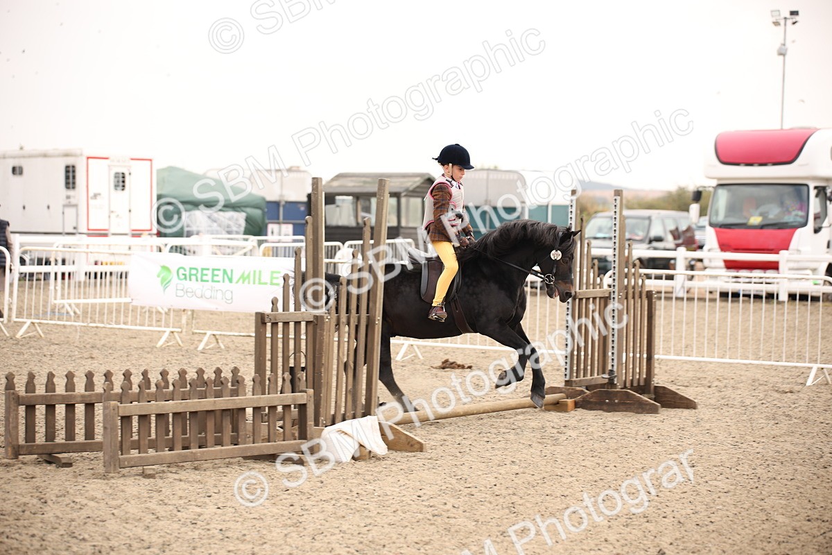 SBM_11719 - Class 404a Junior Working Veteran- 40cm (15-19)