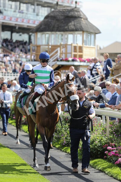 yr19082022r2-16 - Race 7 5.20pm British Stallion Studs EBF Fillies' Stakes