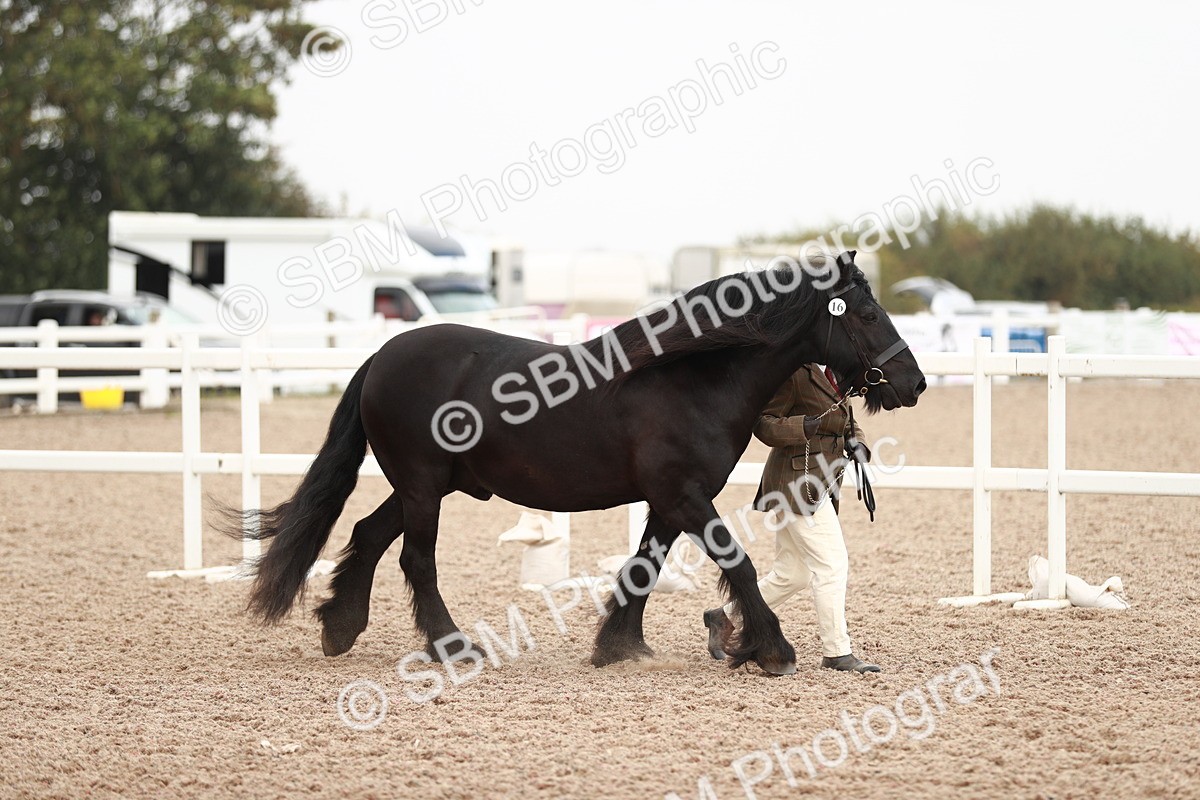 SBM_12390 - Class 207 IH M&M