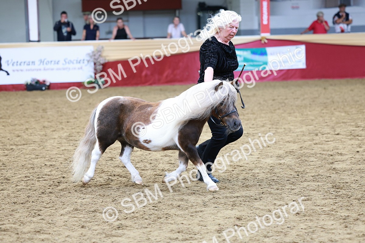 SBM_17344 - Class 951 - M&M IH Supreme Final