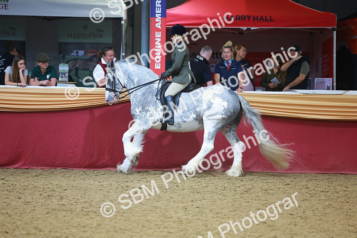 SBM_12603 - Class 103 - HOYS Veteran Qualifier - Ridden Pre Vet