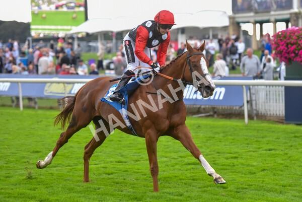 yr24092021r6-35 - Race 6 4.25pm William Hill Pick Your Places Stakes