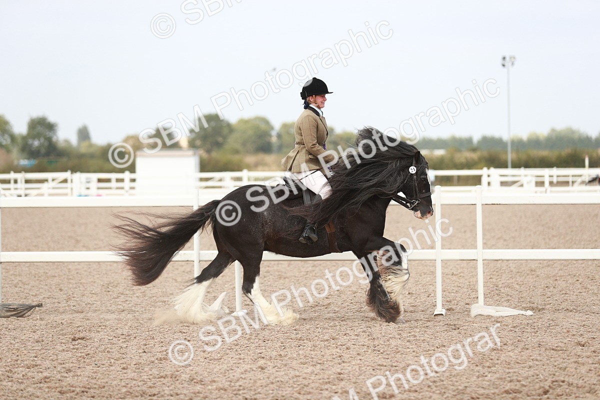SBM_16844 - Class 214 Ridden Cob