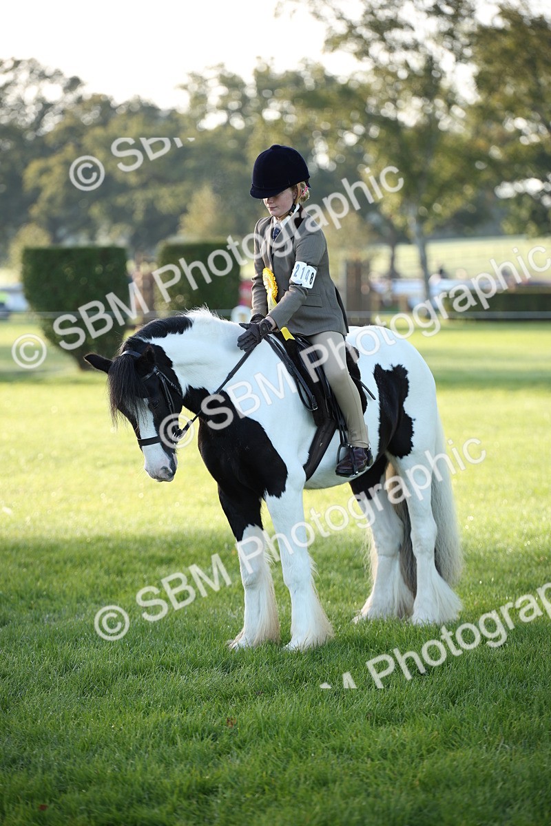 SBM_32386 - S8 - Best Turned Out