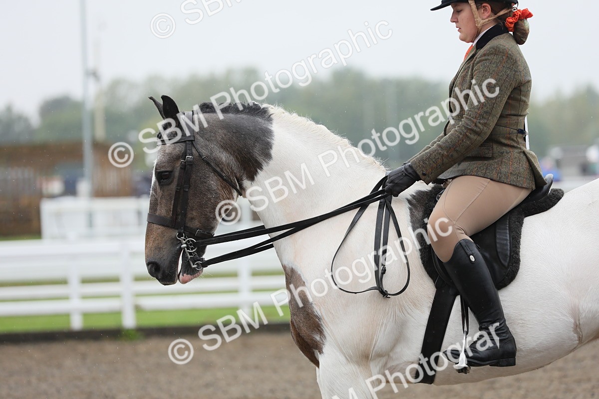 SBM_20605 - Class 804 - Ridden Veteran Pony