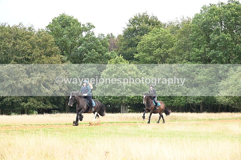 DSC_5091 - Time at Statue 11:10 to 11:42