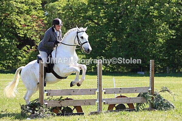IMG_3999 - Working Hunter