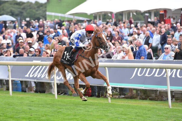 yr17082022r6-23 - Race 6 4.45 pm Celebrate ITM’s 200th IRE Voucher Winner Stakes