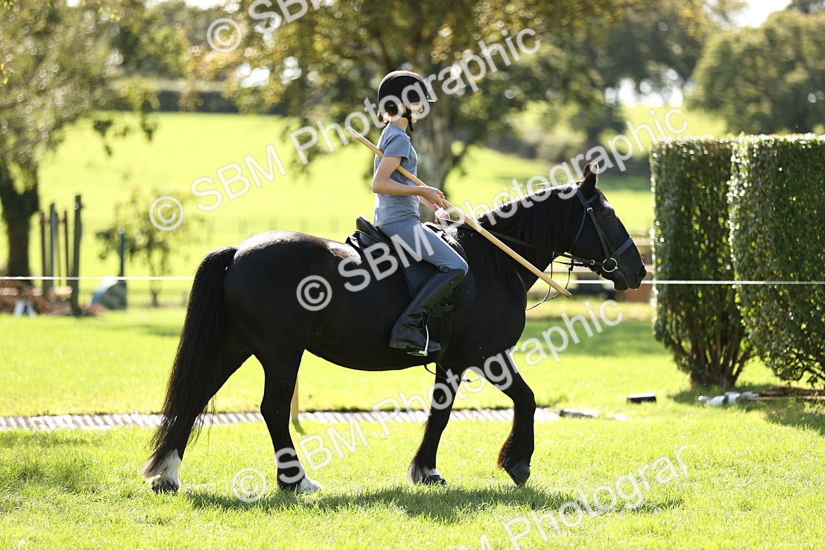 SBM_22999 - S4 - Have a Go at Working Equitation