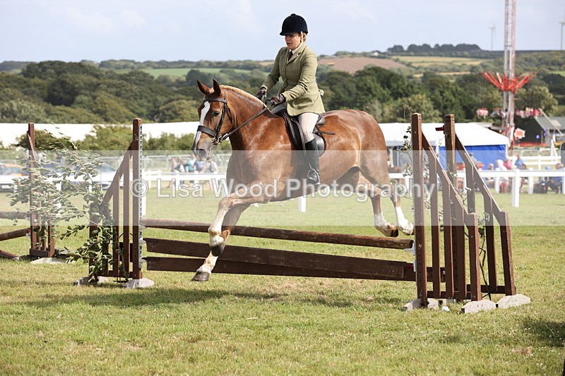 JPP_2531 - Class 20: Working Hunter 70cm