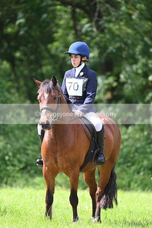 WJ7_1333 - Class 11 Condition & Turnout