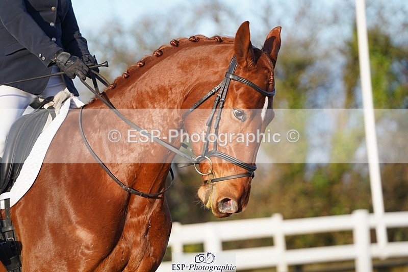 241214-104028-00228 - 136-NATALIE.PASSMORE-U.Legend