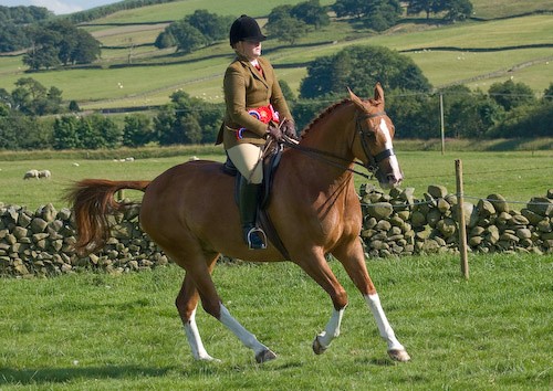 170 - Moniaive Horse Show 2008