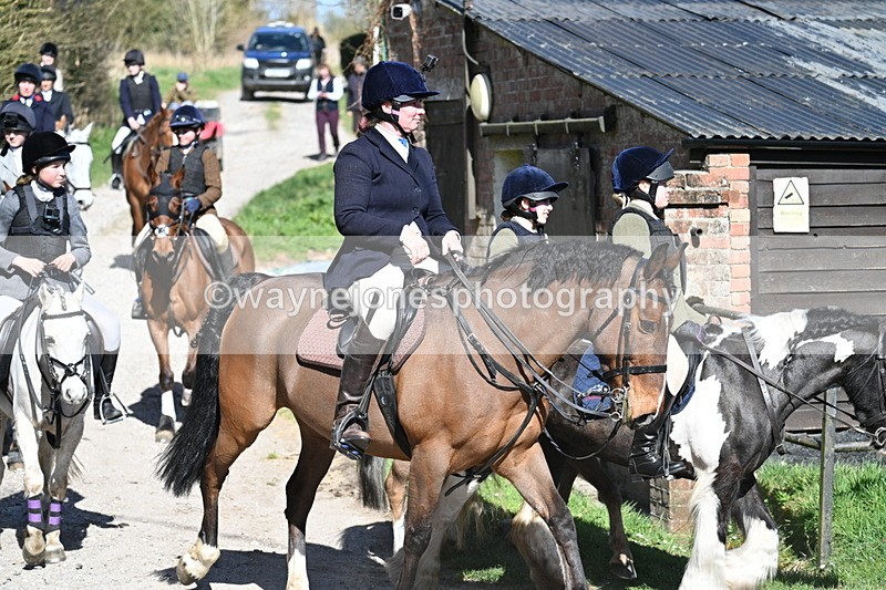 WJ7_9741 - Home for hunt tea !