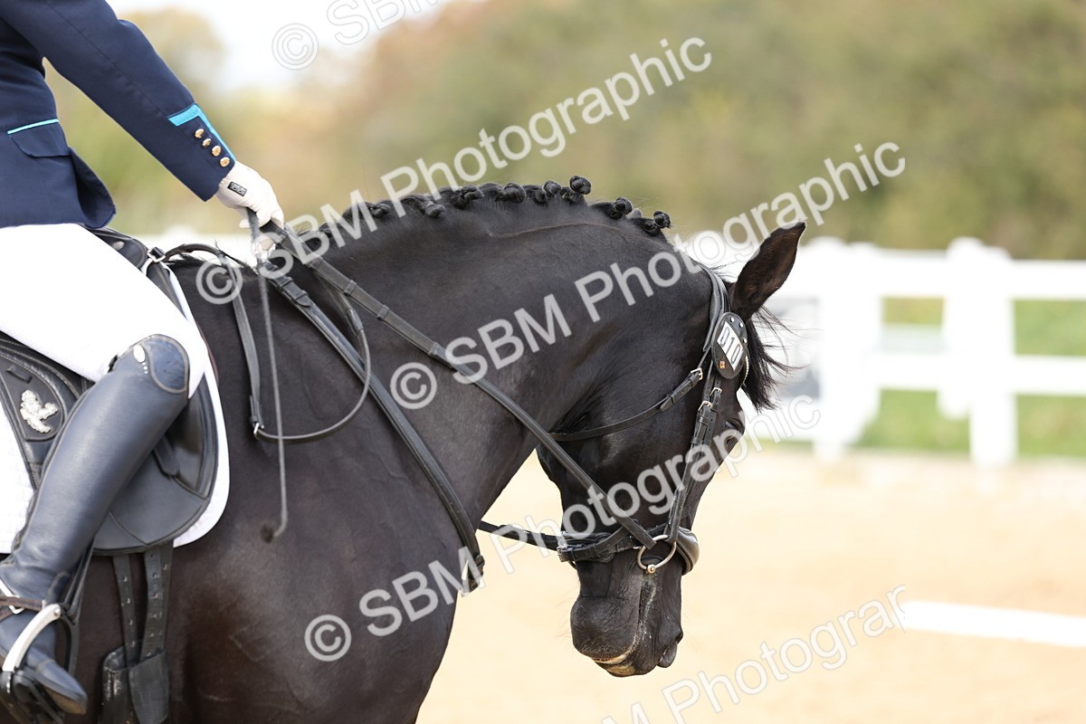 SBM_001987 - Class 5 - Elementary 4