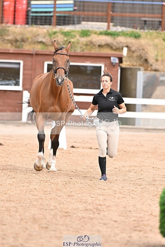 250716-154256-02145 - Trot Up 3.30 to 4.30