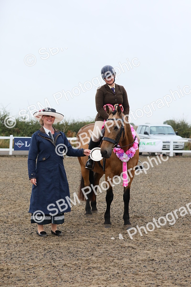 SBM_19956 - Class 801 - Ridden Veteran