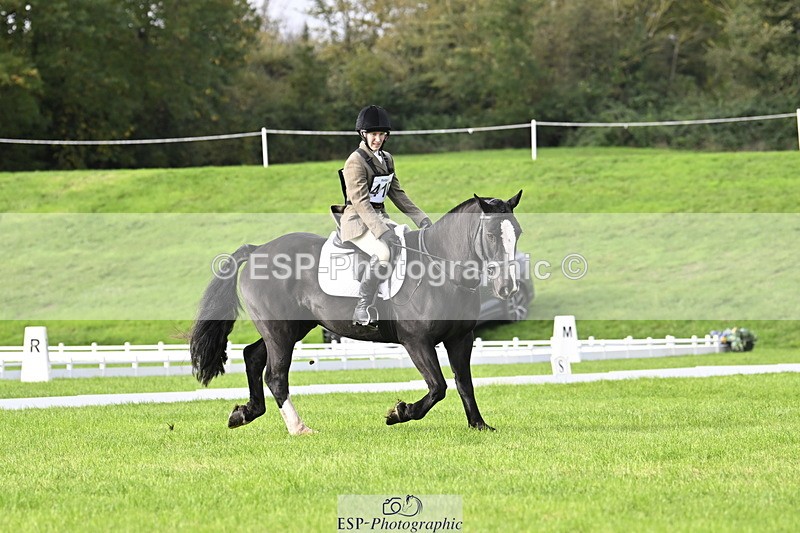 251023A-105846-02973 - F-410-Kt.English-Baillie